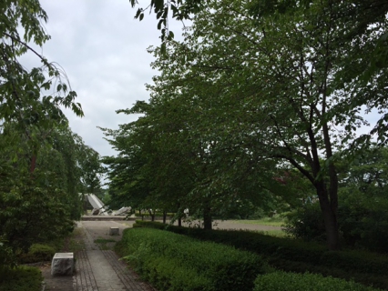 きれいな歩き方